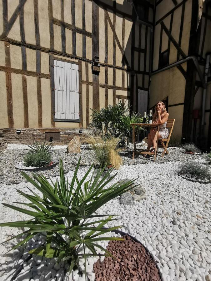 Les Cieux De La Cathedrale - Calme - Jardin - Wifi Lejlighed Troyes Eksteriør billede